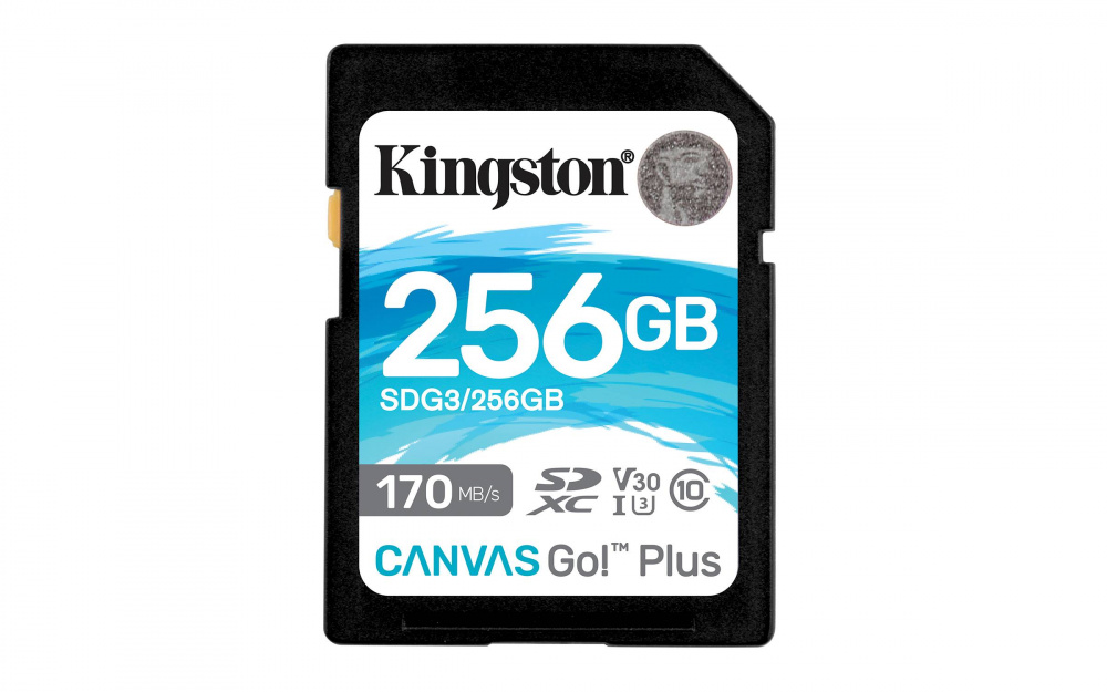 Memorias Flash Kingston Technology SDG3